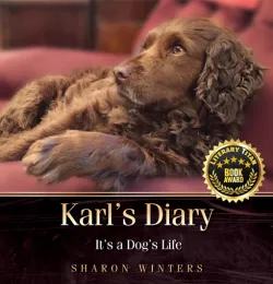 Audio Book Publishing Services